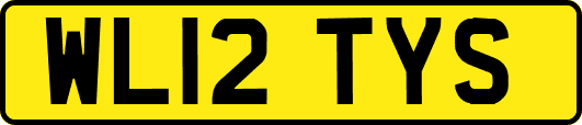 WL12TYS