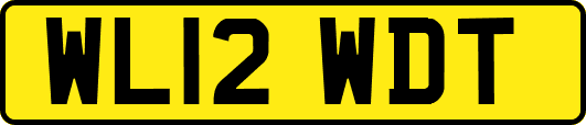 WL12WDT