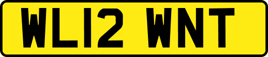 WL12WNT