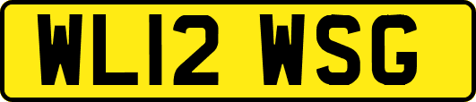 WL12WSG