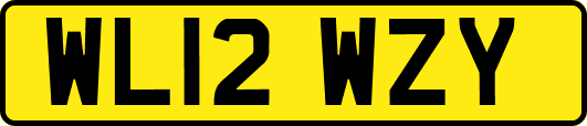 WL12WZY