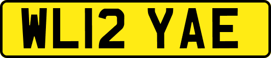 WL12YAE