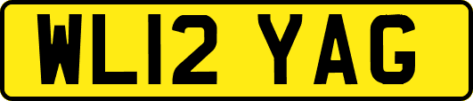 WL12YAG