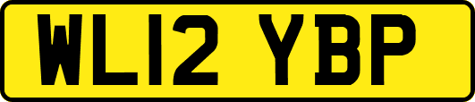WL12YBP