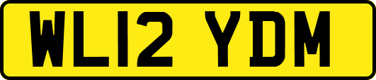WL12YDM