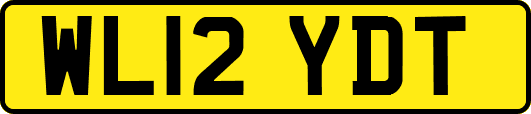 WL12YDT