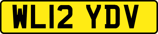 WL12YDV
