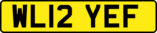 WL12YEF