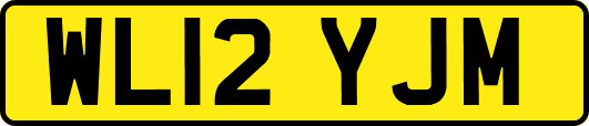 WL12YJM