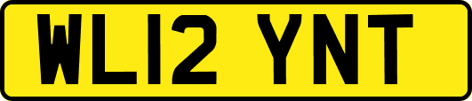 WL12YNT
