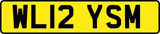 WL12YSM