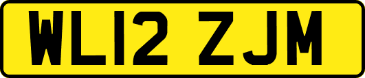 WL12ZJM