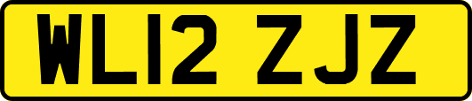 WL12ZJZ