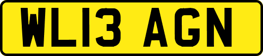 WL13AGN