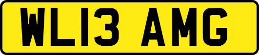 WL13AMG