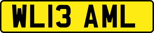 WL13AML