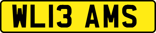 WL13AMS