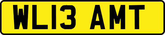 WL13AMT