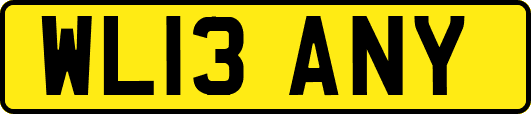WL13ANY