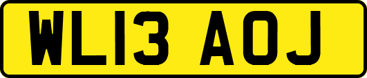 WL13AOJ