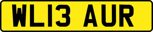 WL13AUR