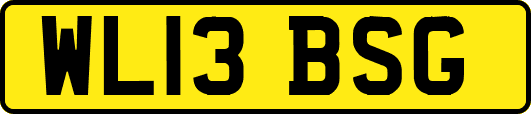 WL13BSG