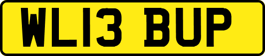 WL13BUP