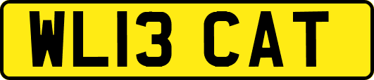 WL13CAT