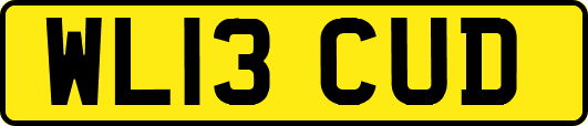 WL13CUD