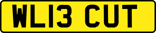 WL13CUT