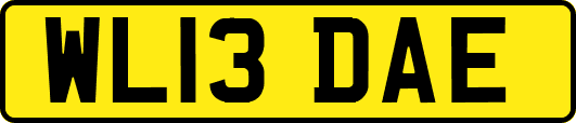 WL13DAE