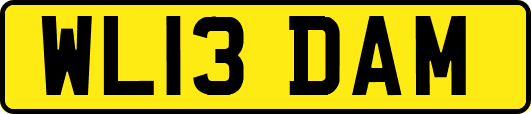 WL13DAM