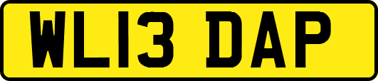 WL13DAP