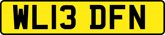 WL13DFN