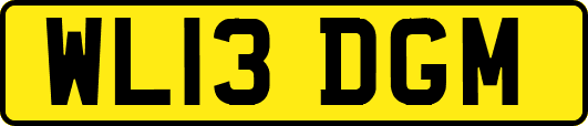 WL13DGM