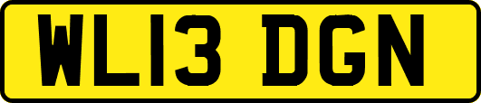 WL13DGN