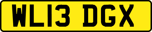 WL13DGX