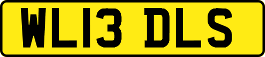 WL13DLS