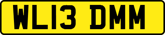 WL13DMM