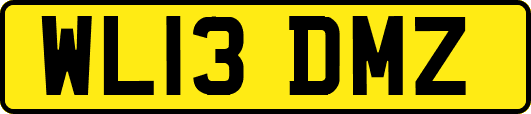 WL13DMZ