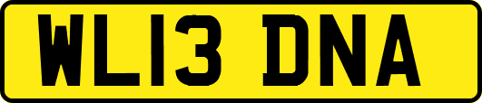 WL13DNA