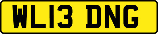 WL13DNG