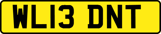 WL13DNT