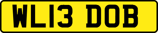 WL13DOB