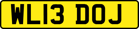 WL13DOJ