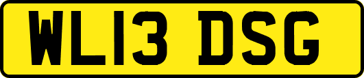 WL13DSG