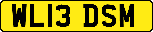 WL13DSM