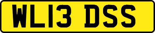 WL13DSS