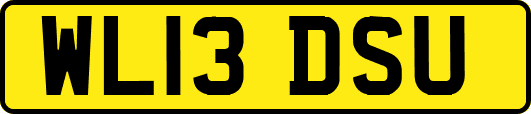 WL13DSU