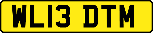 WL13DTM
